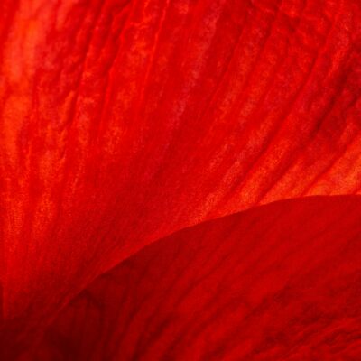 red inflamation