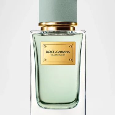 Dolce & Gabbana Veltve Infusion